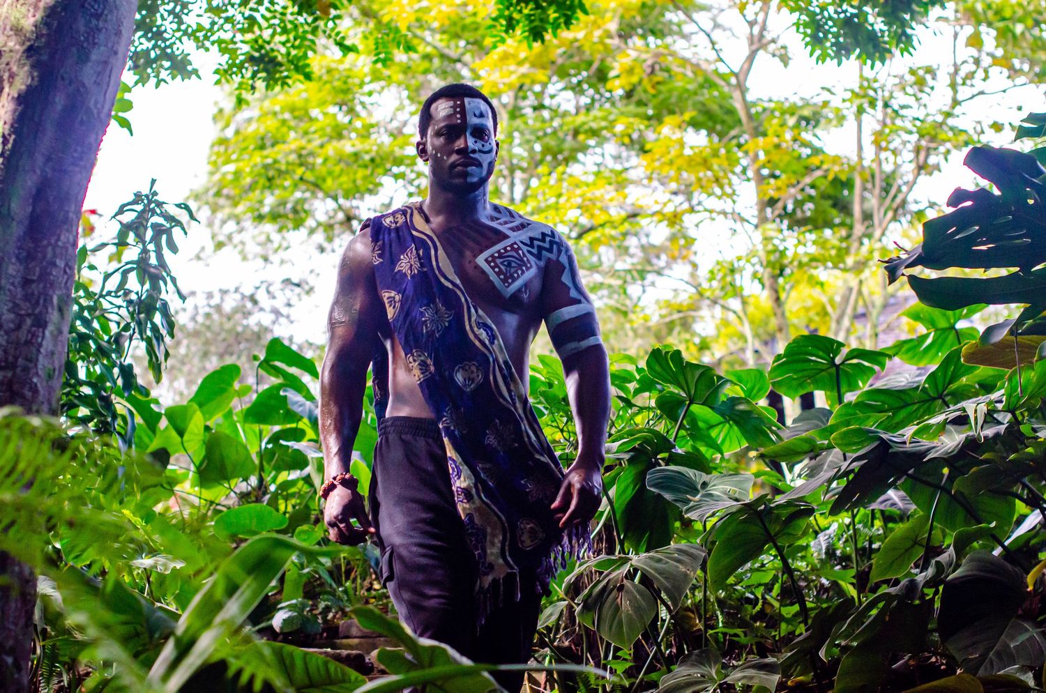 Person walking through lush tropical garden setting with green foliage.