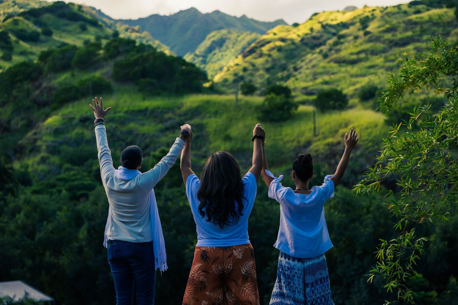 Group of friends with raised arms enjoying view of lush green mountains.