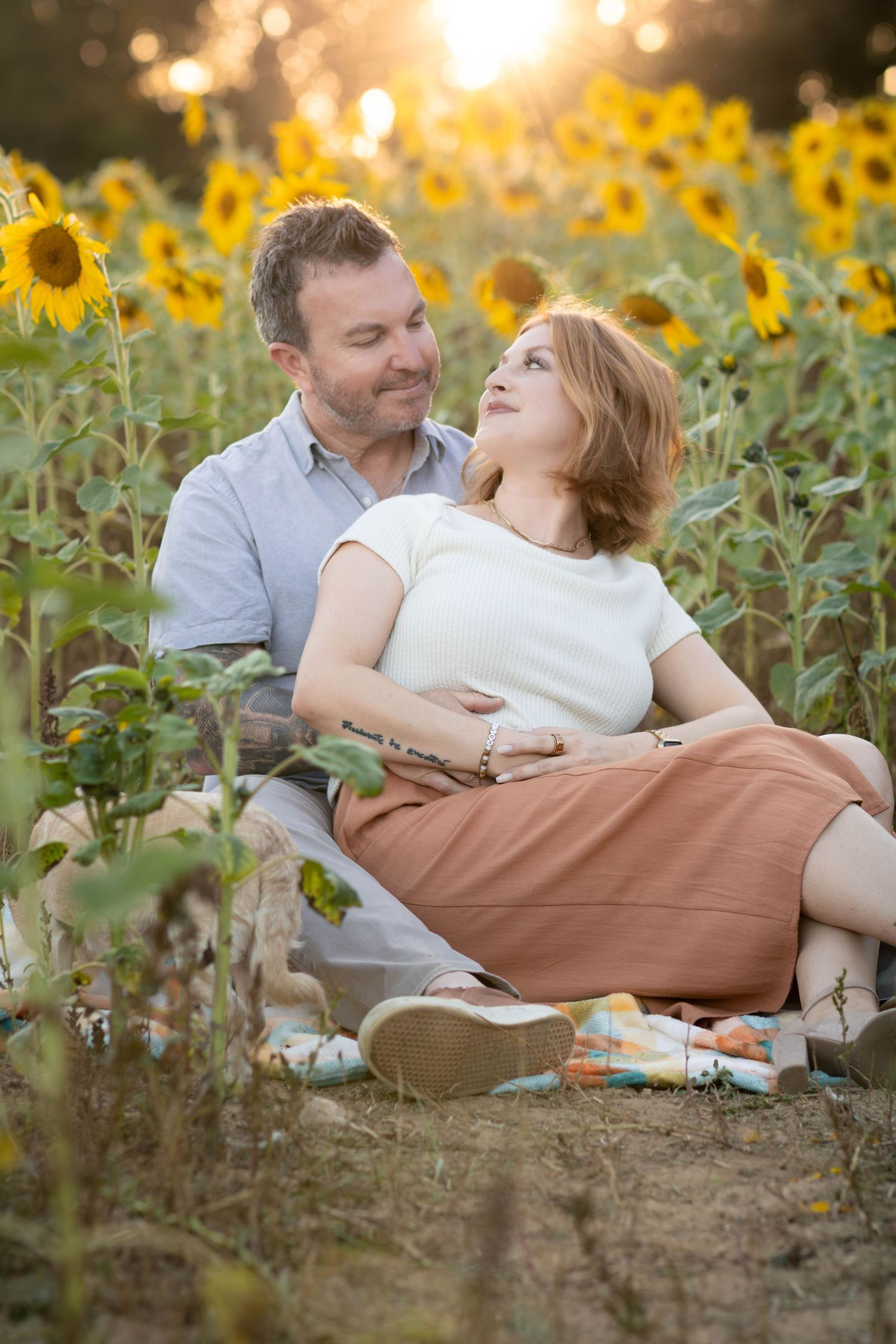 Romantic couple lounging in a sunflower field during golden hour.