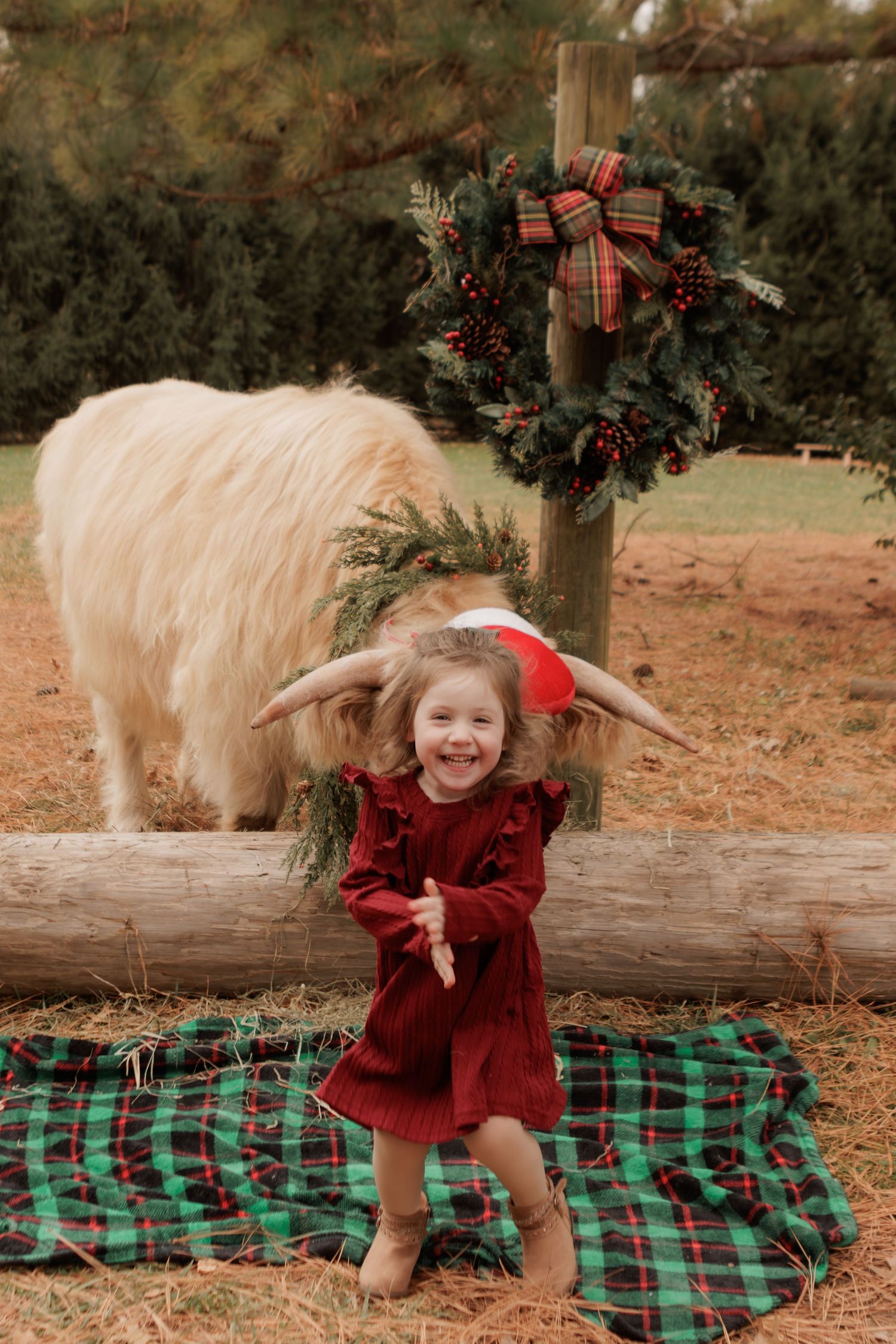 A child in red dress laughs near a Christmas wreath and plaid blanket with farm animals.