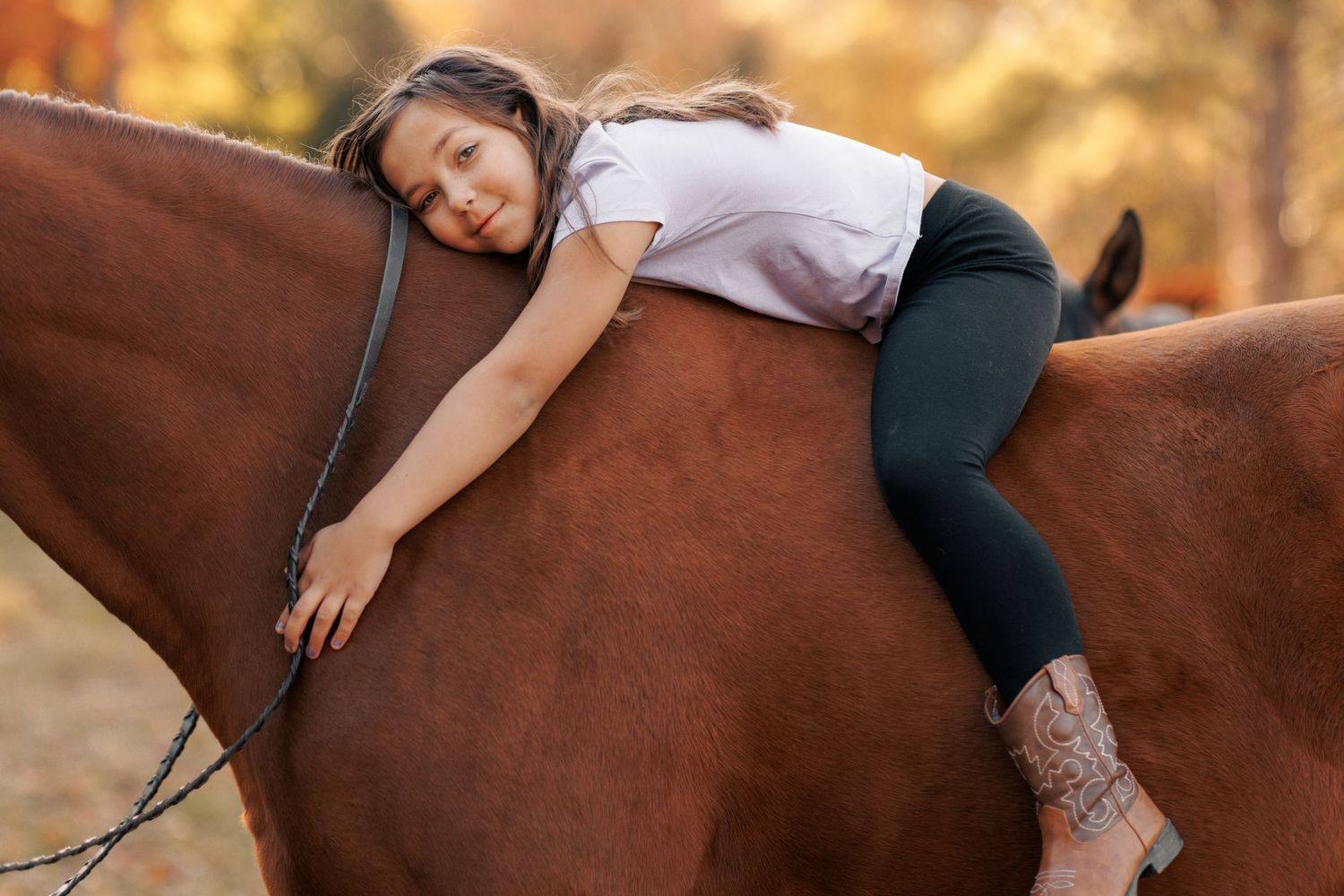 A brown horse stands in warm autumn sunlight during an outdoor photo session.
