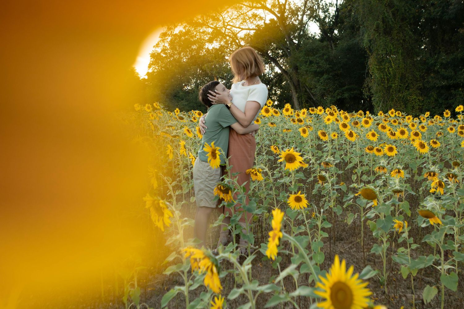A dreamy scene in a sunflower field at golden hour.