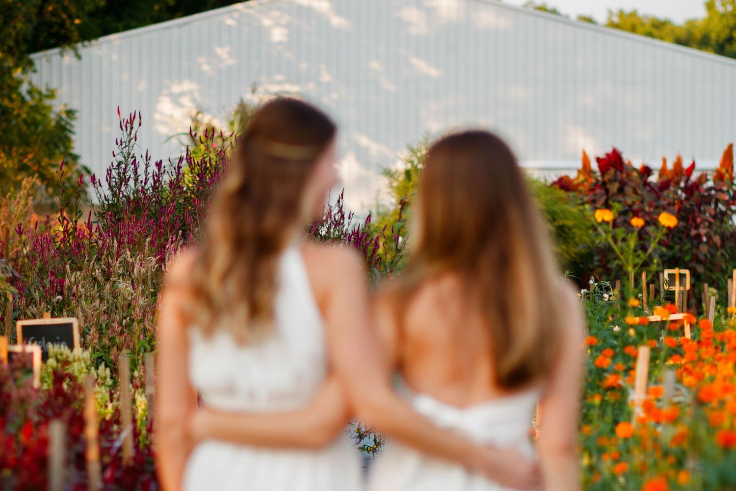 Two people in white dresses stand together in a garden filled with vibrant orange and red flowers on a sunny day.