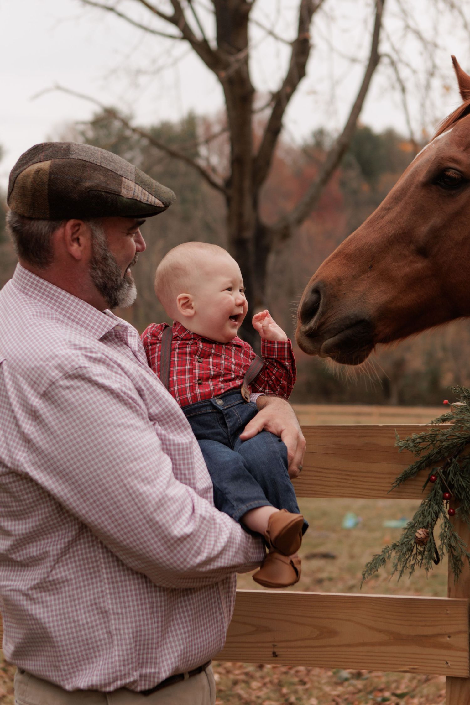 A person in a plaid shirt holds a small child while interacting with a brown horse at a wooden fence during autumn.