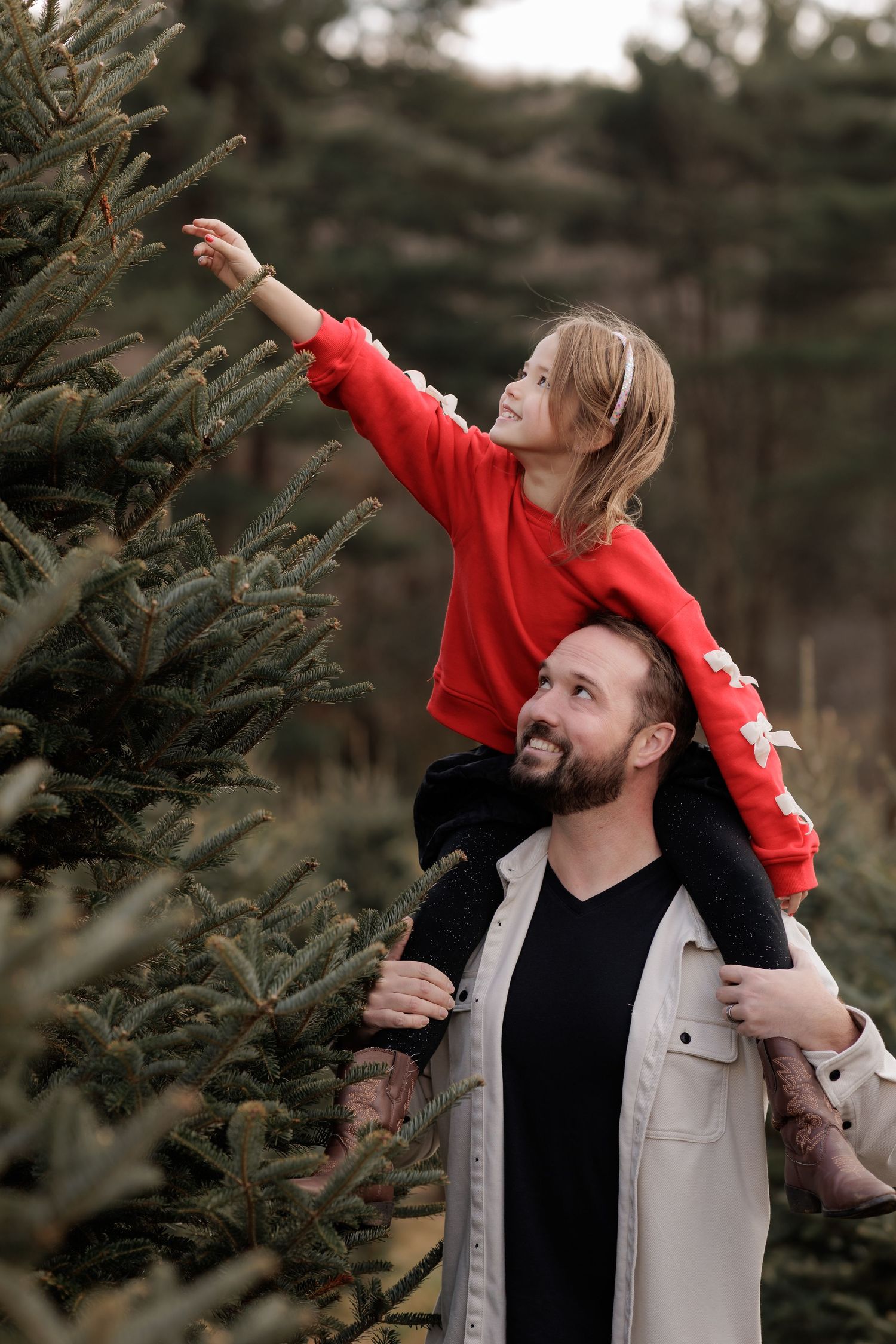 A smiling father carries his young daughter on his shoulders while selecting a Christmas tree at an outdoor tree farm.