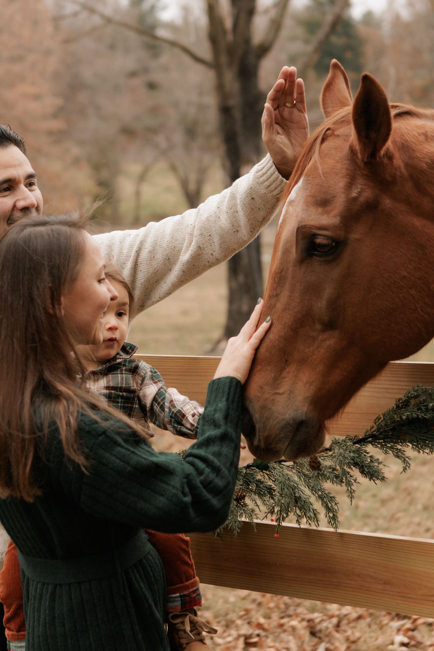 Family petting a chestnut horse over a wooden fence in an autumn park setting.