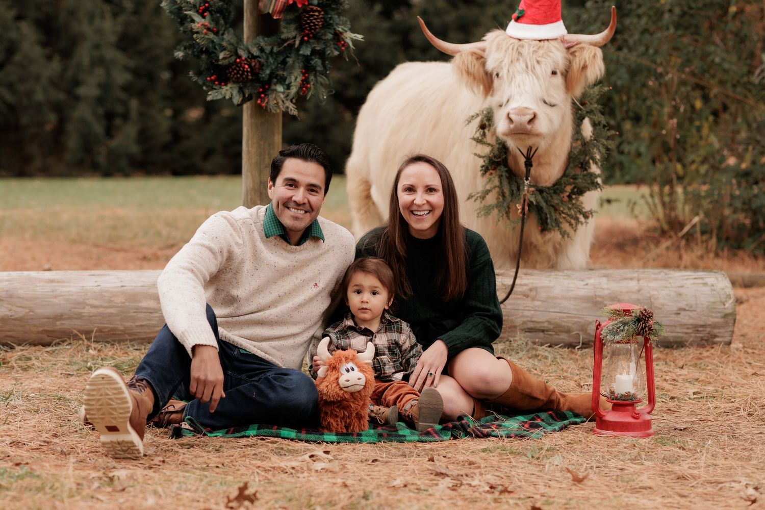 Family Christmas photo with parents, child, and a white Highland cow wearing a Santa hat outdoors.