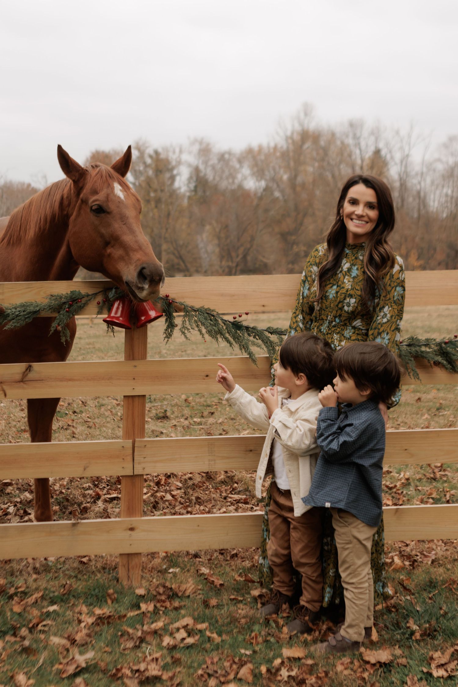Woman and two children feeding a chestnut horse over a wooden fence decorated with holiday greenery on a farm.