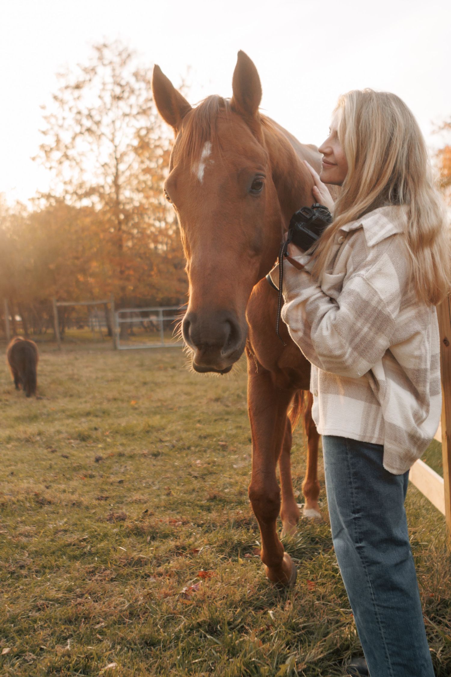 A person in a cream jacket gently pets a chestnut horse during golden hour.