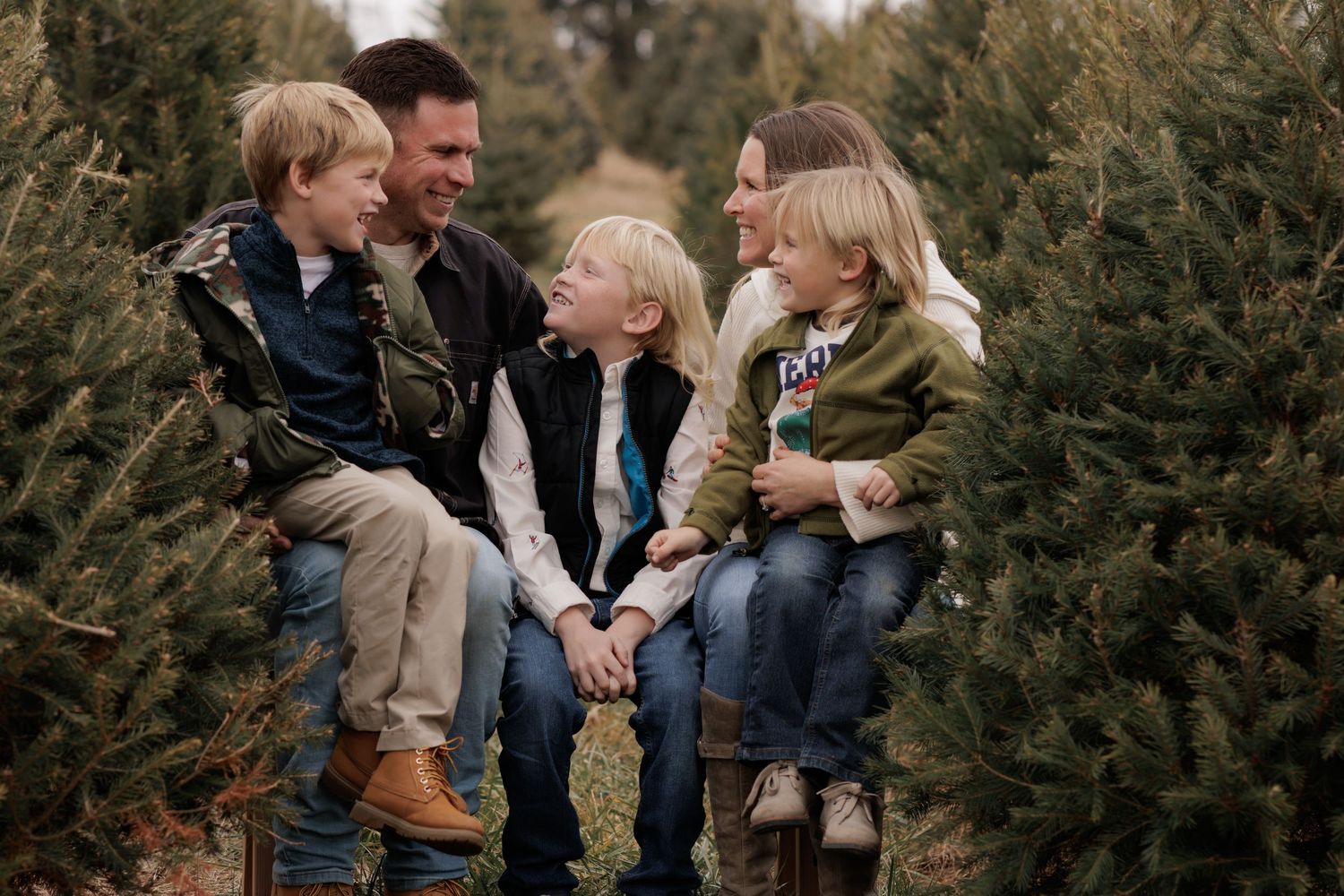 Happy family laughing together at a Christmas tree farm, parents sitting with three young children outdoors.