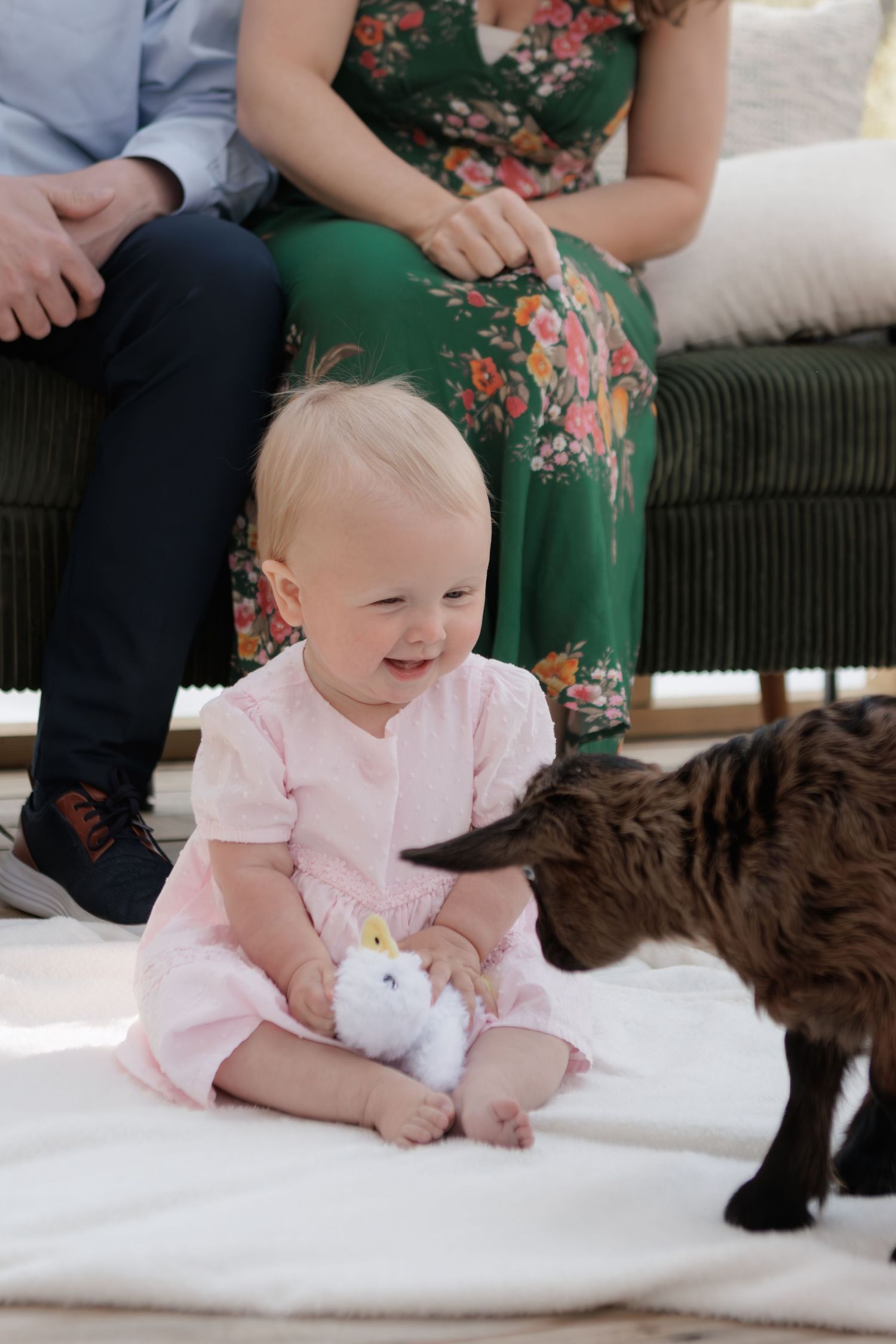 Baby girl in pink dress smiles at a small goat while holding a unicorn toy, parents seated on sofa behind her.