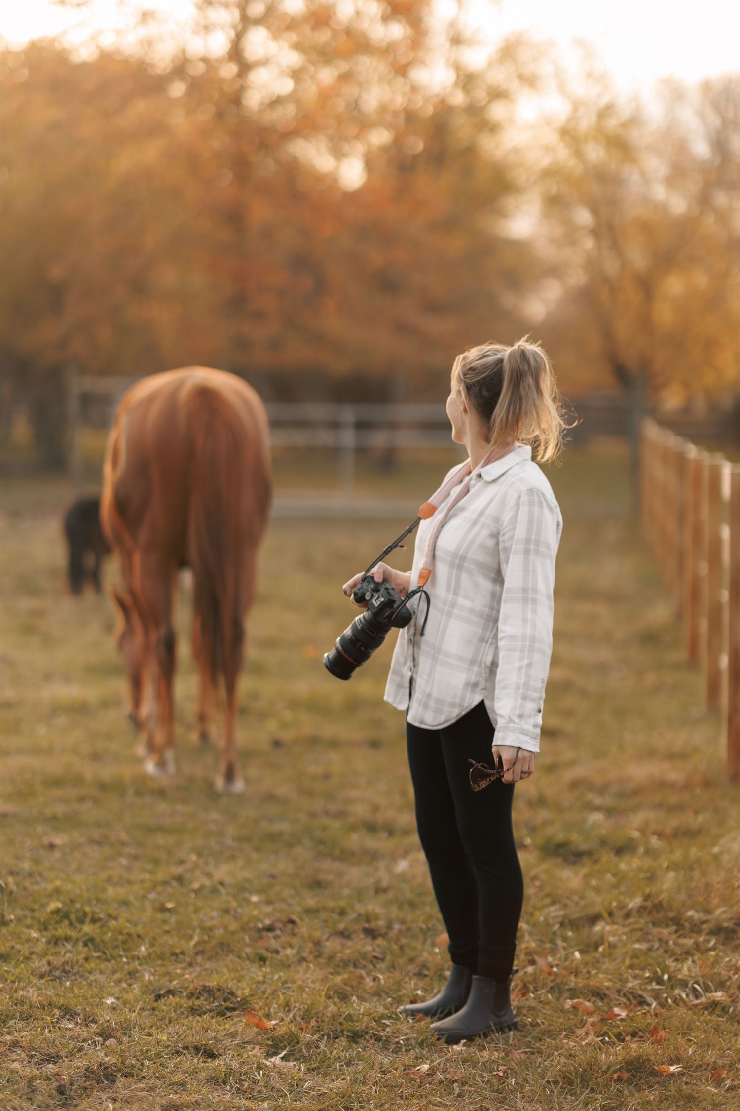 A photographer with camera stands in a field while a horse grazes in the background at sunset.