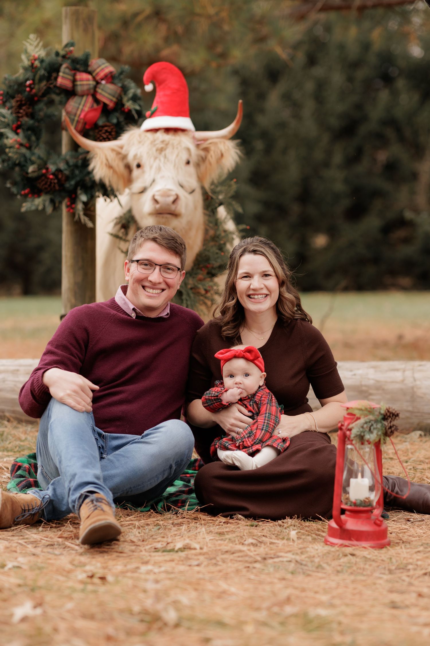Family Christmas photo with couple, baby in plaid, and Highland cow wearing Santa hat beside holiday wreath.