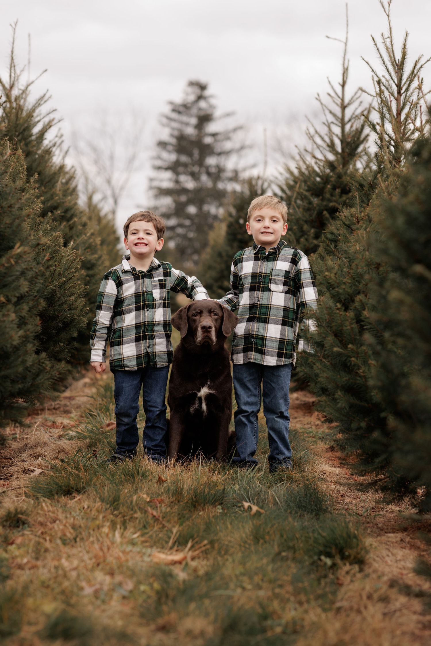 Three people in matching plaid flannel shirts pose between Christmas trees.