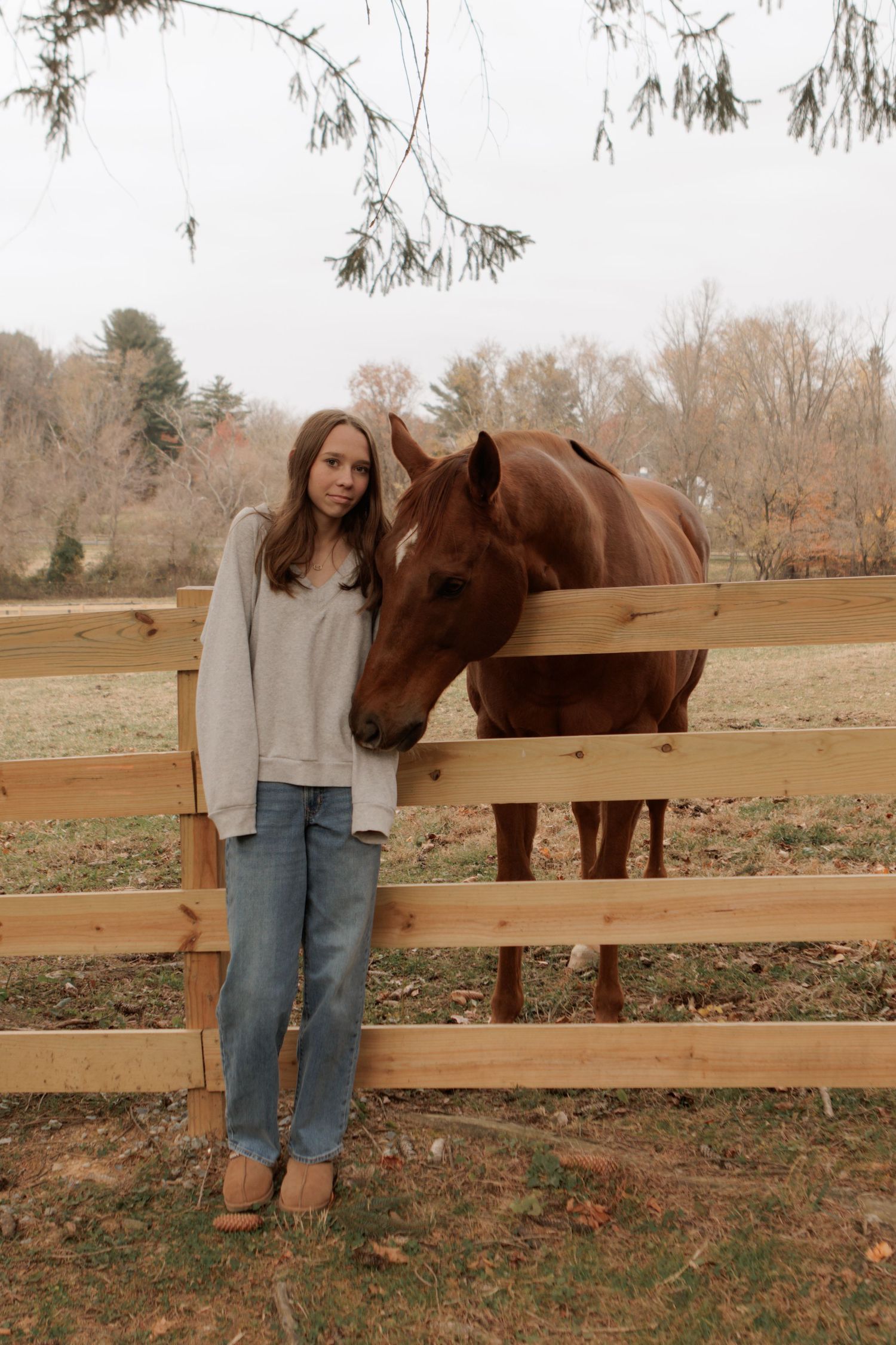 Person in gray sweater stands next to brown horse by wooden fence.