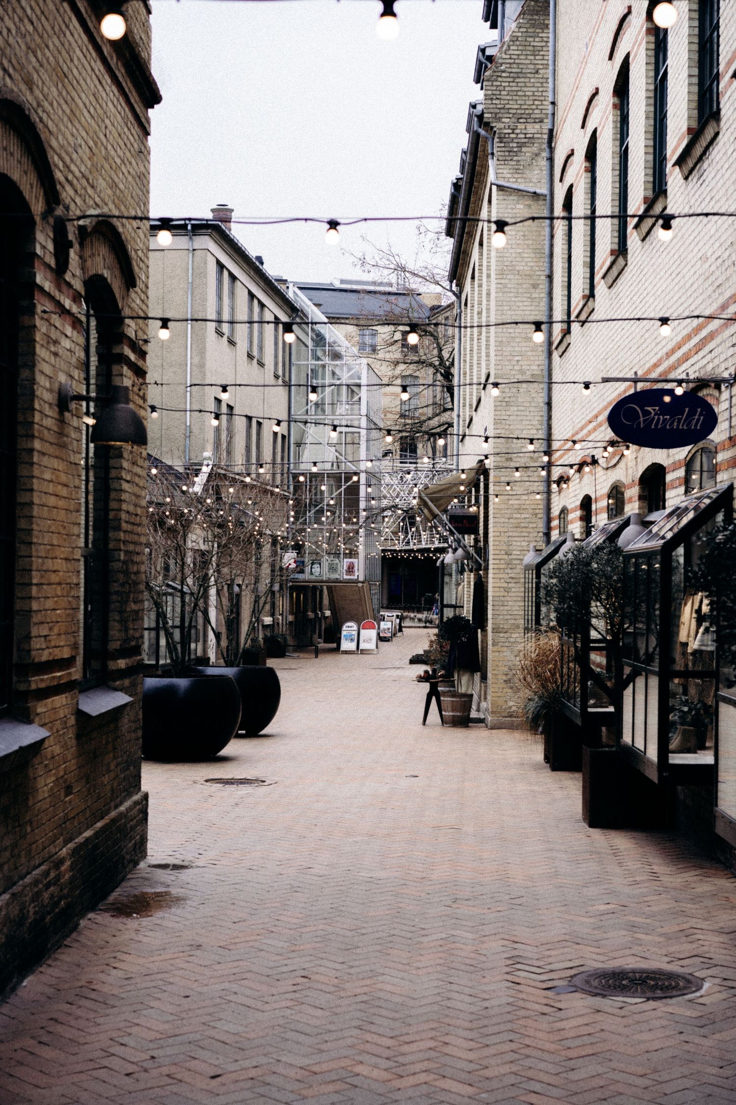 Empty brick-paved street with overhead string lights and historic buildings on both sides.