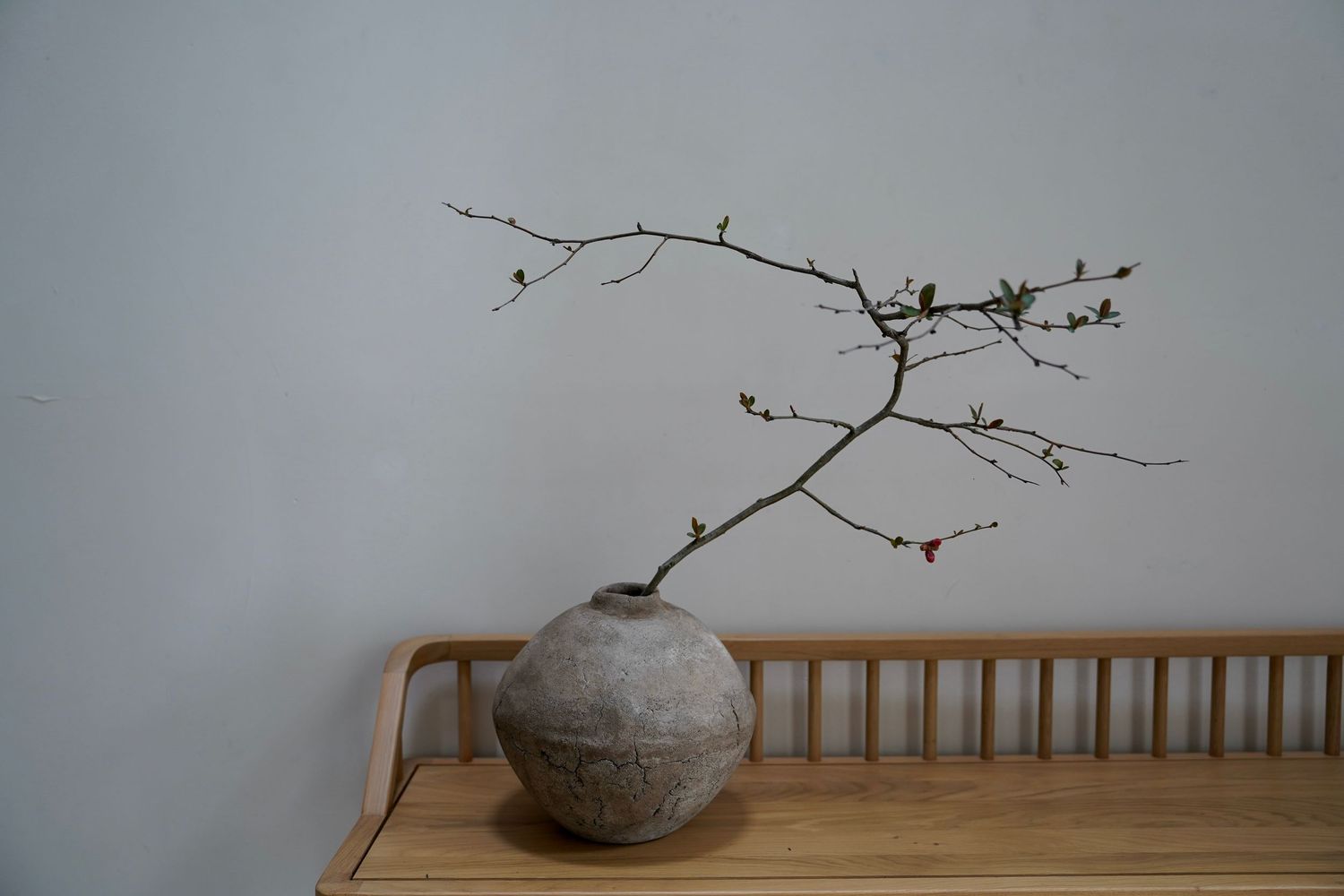 Clay vessel with dried branches displayed on wooden furniture against neutral wall.