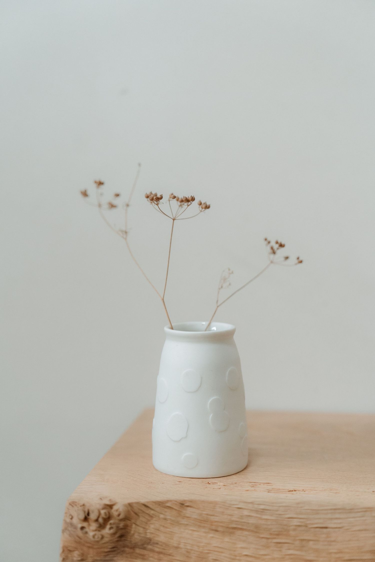 Minimalist white ceramic vase with delicate dried flowers against light background.