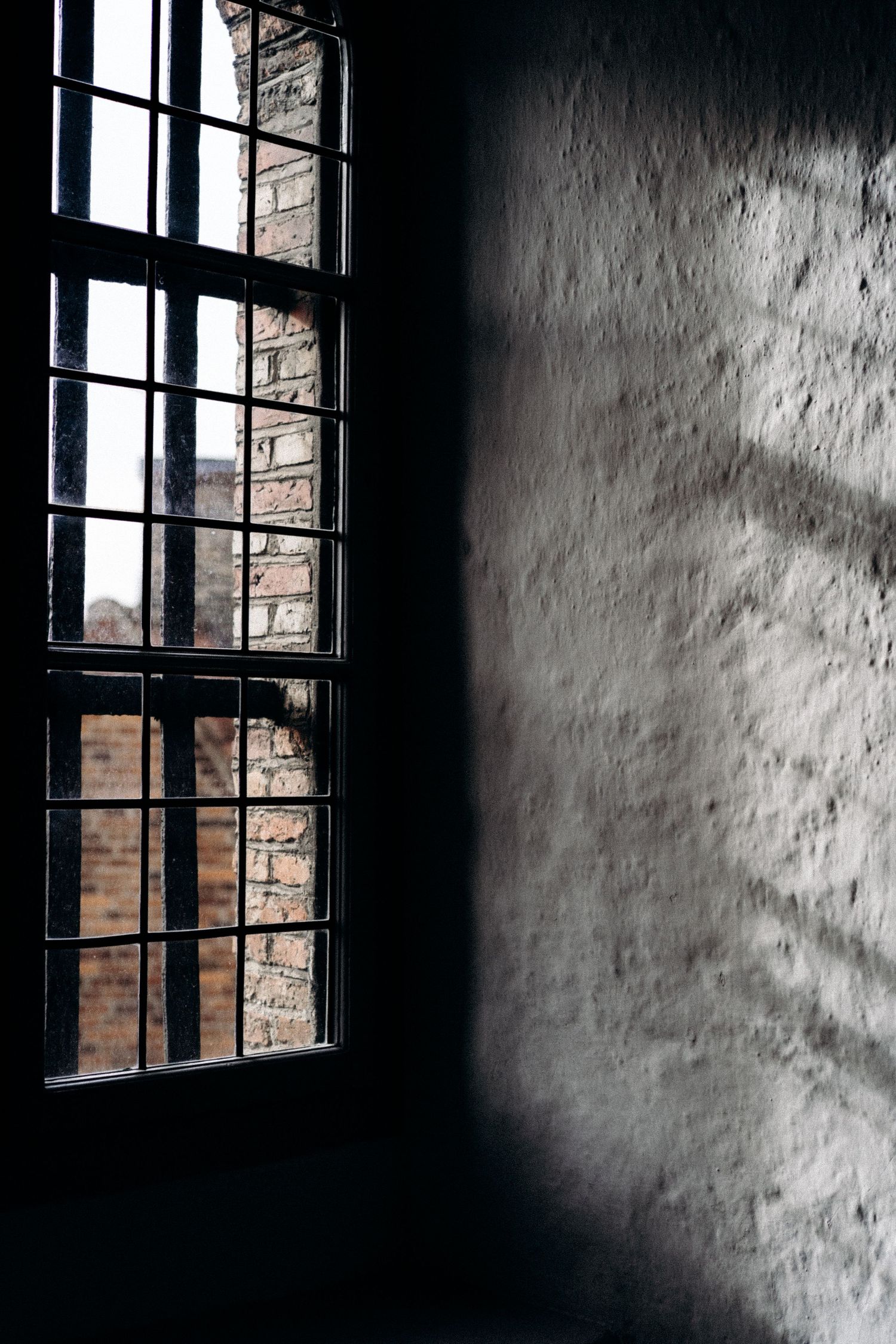 Stark window view through prison-like bars casting dramatic shadows on white wall.