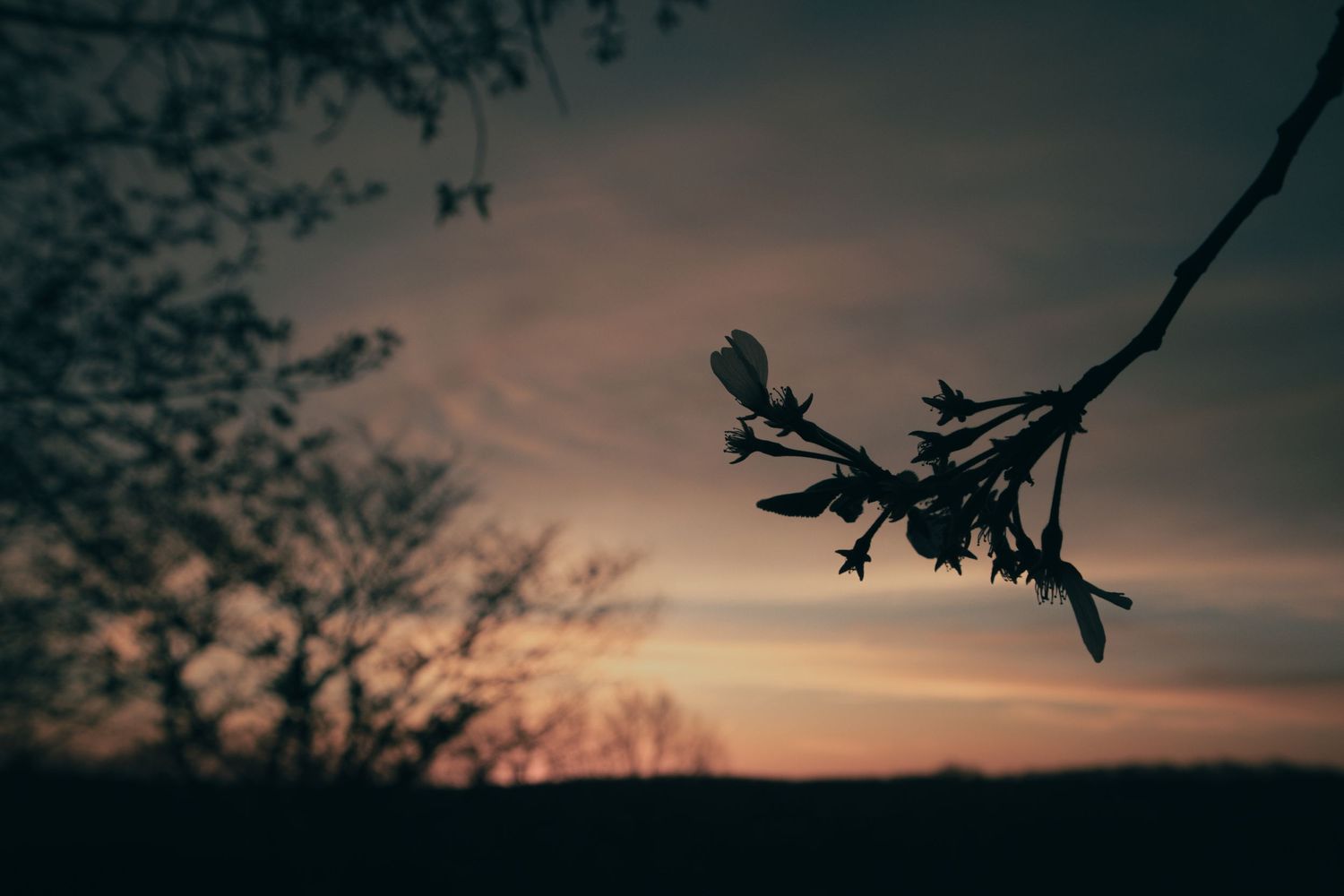 Amazing sunset in the Ozarks