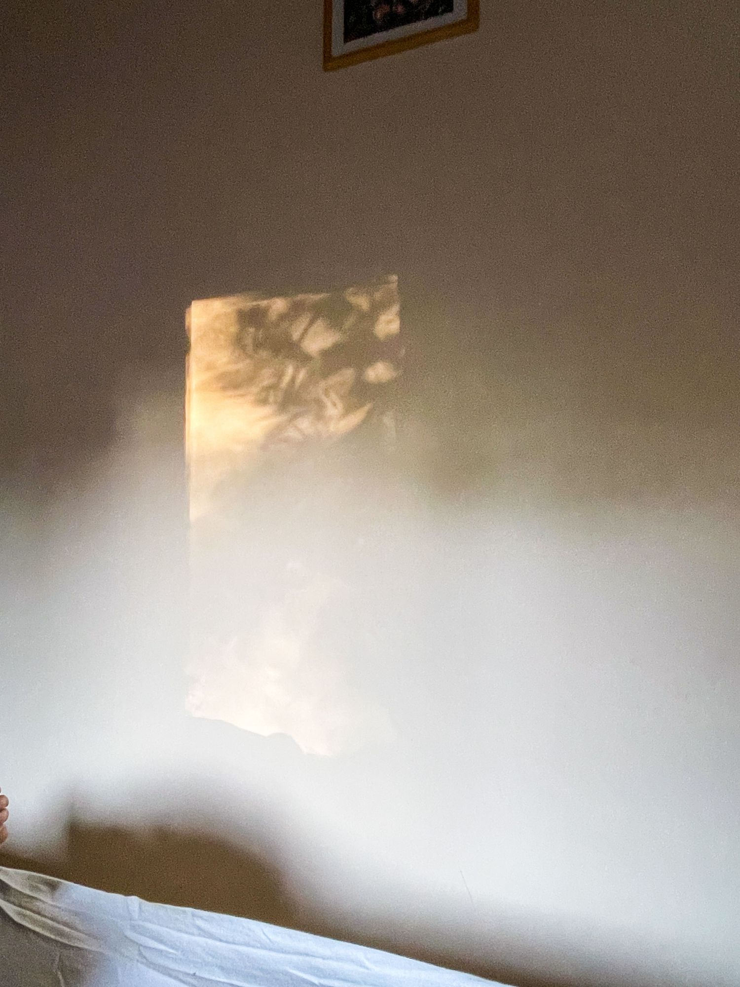 Schaduwspel van licht op een muur, met een glimp van een bed op de achtergrond — een stille, intieme sfeer die herinnert aan het bewaren van