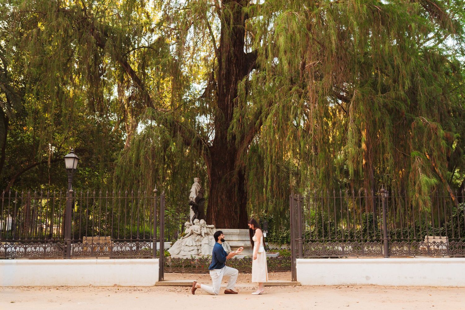 Man proposing to woman in white dress under a large weeping tree in a scenic park setting.