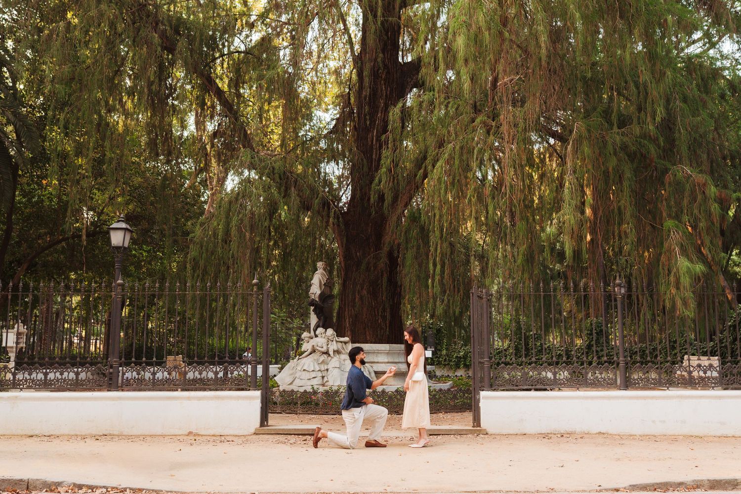 Man proposing to woman in a romantic outdoor park setting with a large tree and iron fence backdrop.