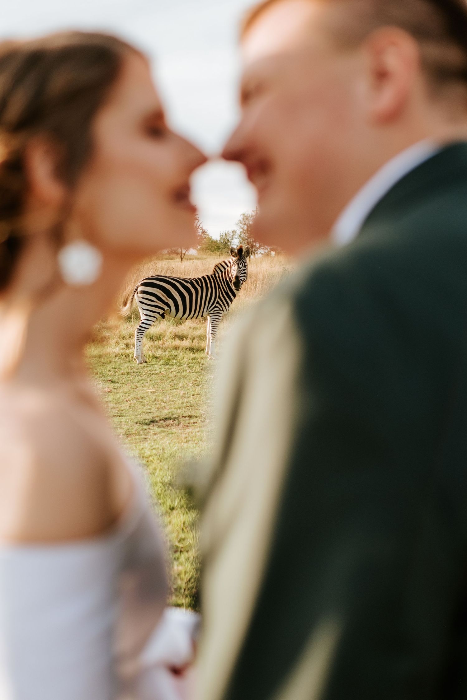 Romantic moments  at a Safari Wedding