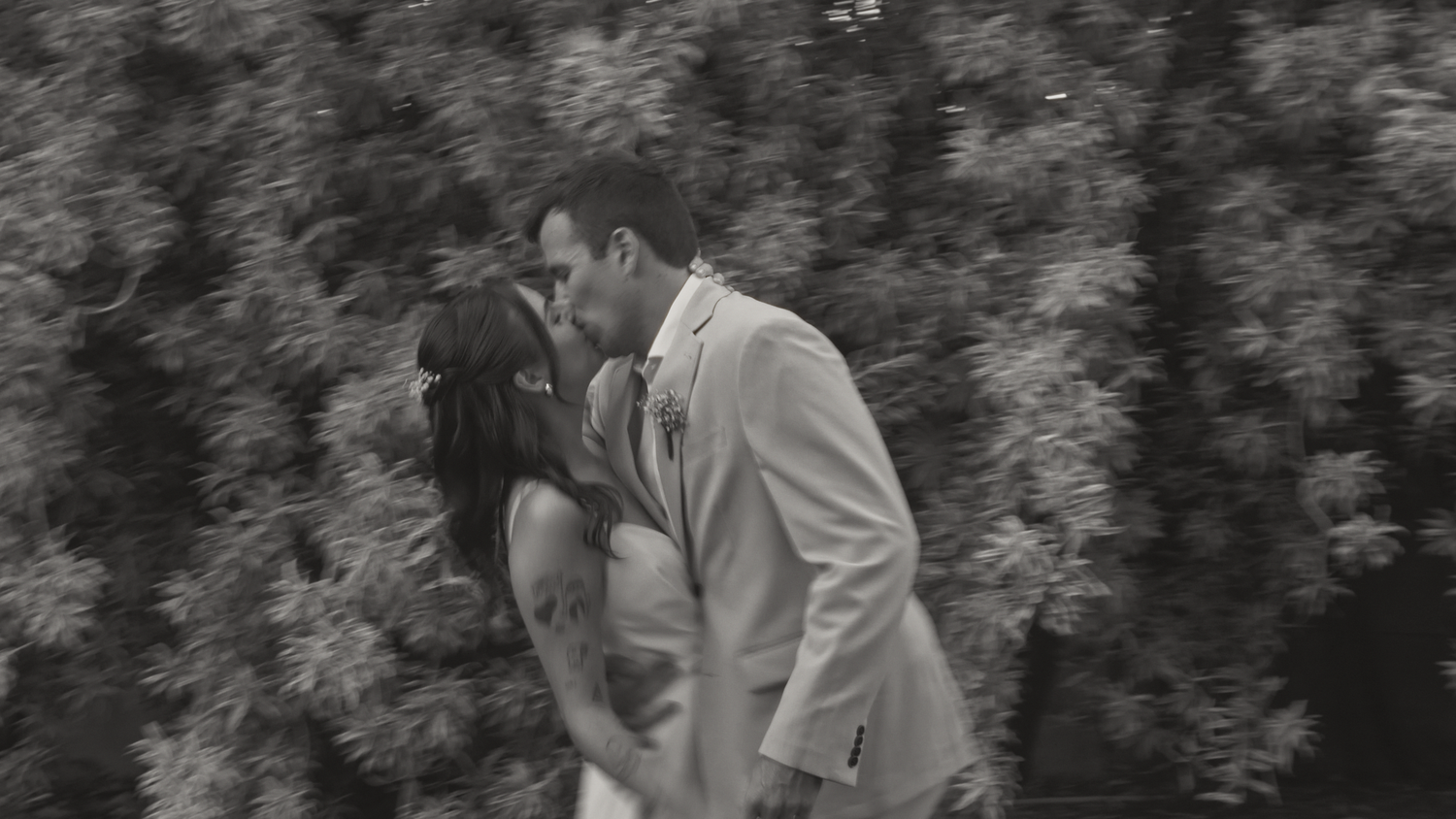 Black and white photo of a bride and groom sharing a romantic kiss in front of lush green foliage.