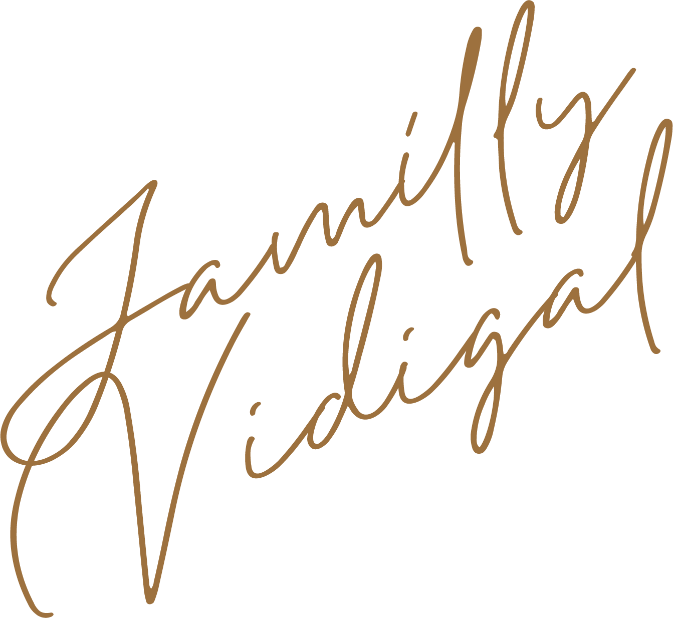 Elegant cursive signature logo of Jamilly Vidigal in gold script font on white background.