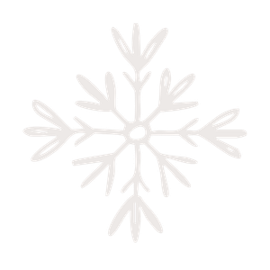 Delicate white snowflake ornament with intricate branching patterns on a light background.