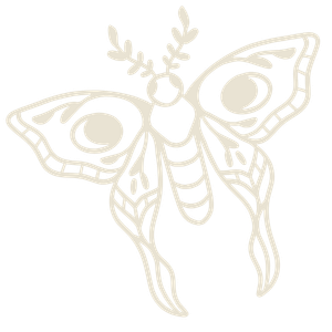 Delicate line art illustration of a decorative moth with botanical antennae in cream tones.