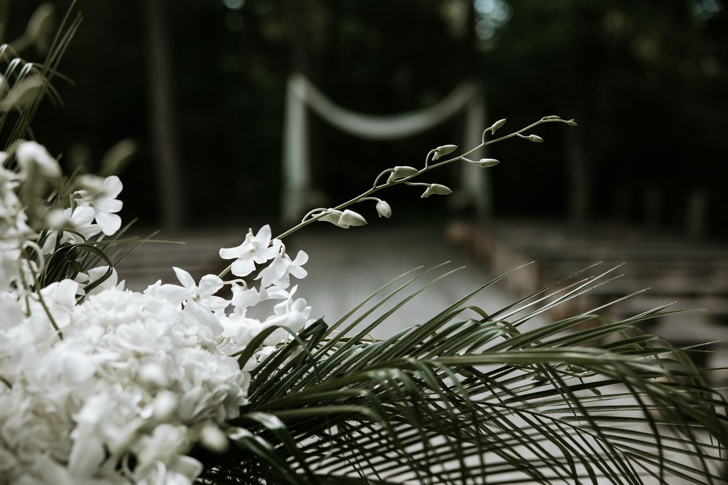 White orchids and tropical palm leaves with a softly blurred outdoor wedding ceremony arch in the background.