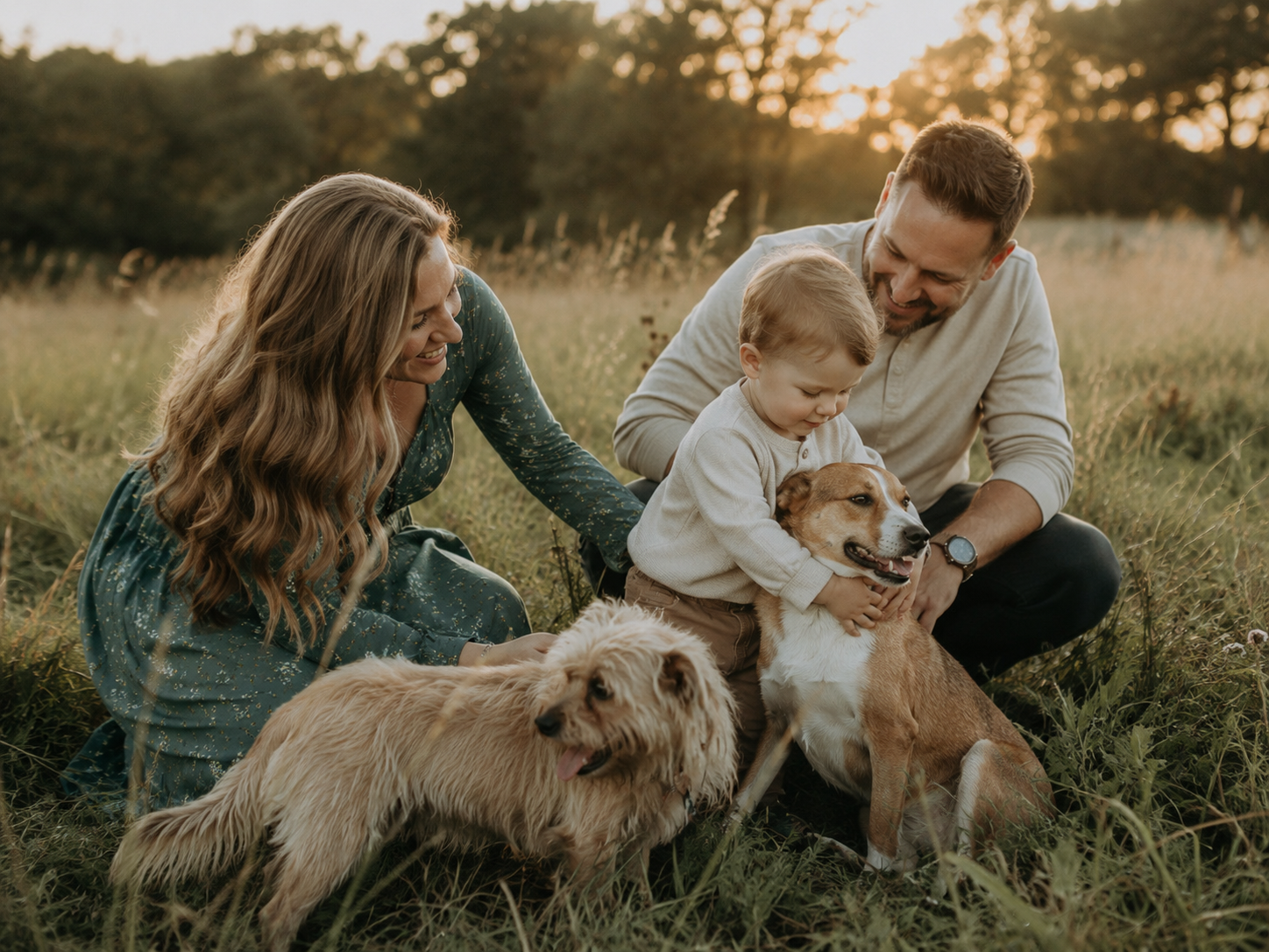 Family with toddler and two dogs sitting in golden field at sunset, enjoying a warm outdoor moment together.