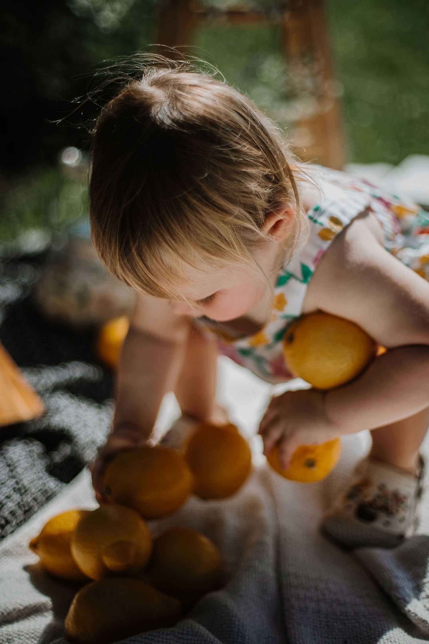 Adorable toddler in floral dress playing with fresh lemons on a blanket outdoors.
