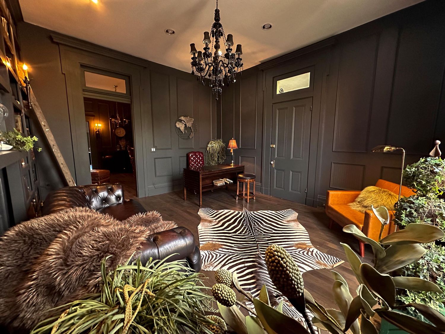 Elegant dark living room with zebra rug, chandelier, and lush tropical plants.