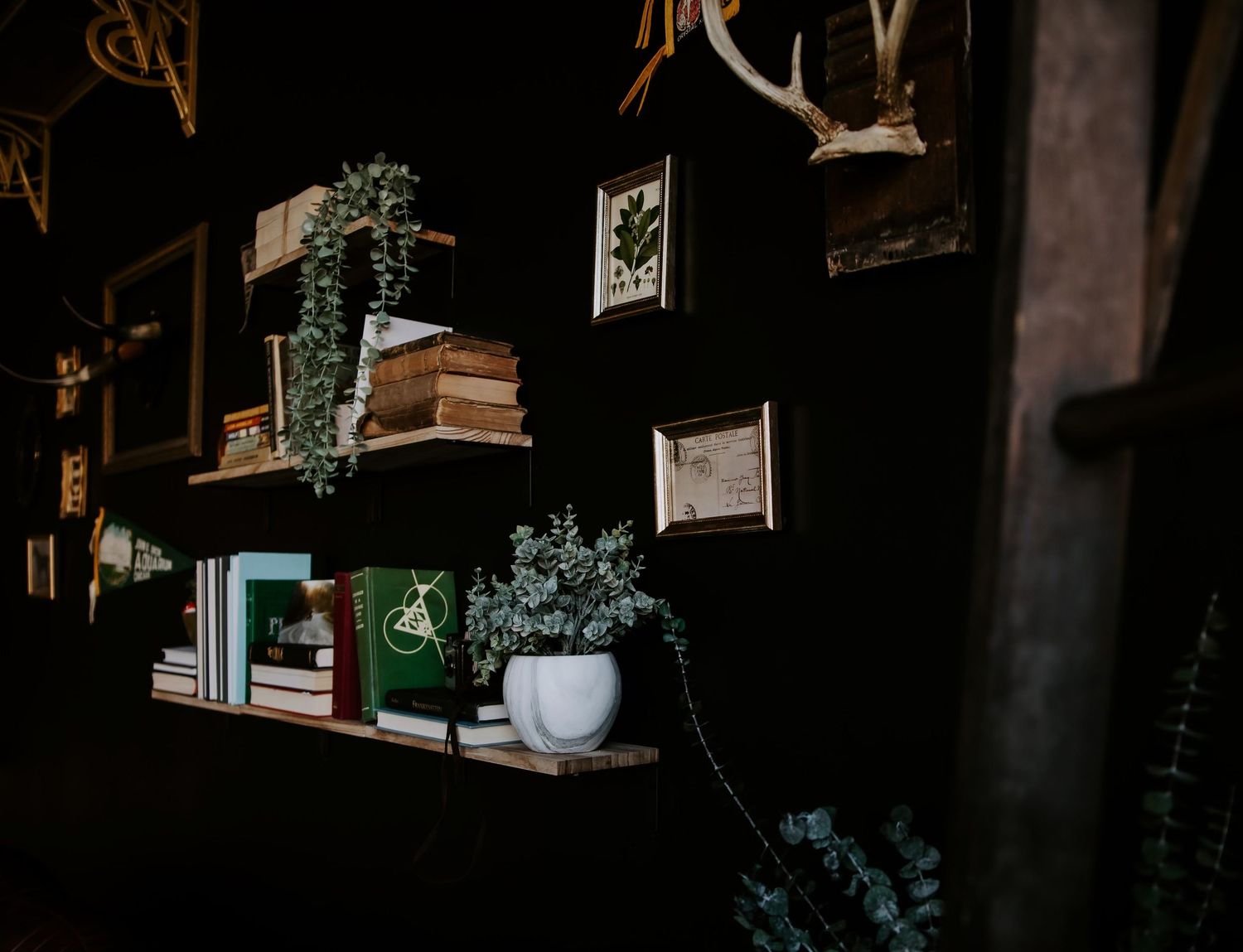 Rustic wooden shelves with books, green plants, and framed botanical prints against a dark wall.