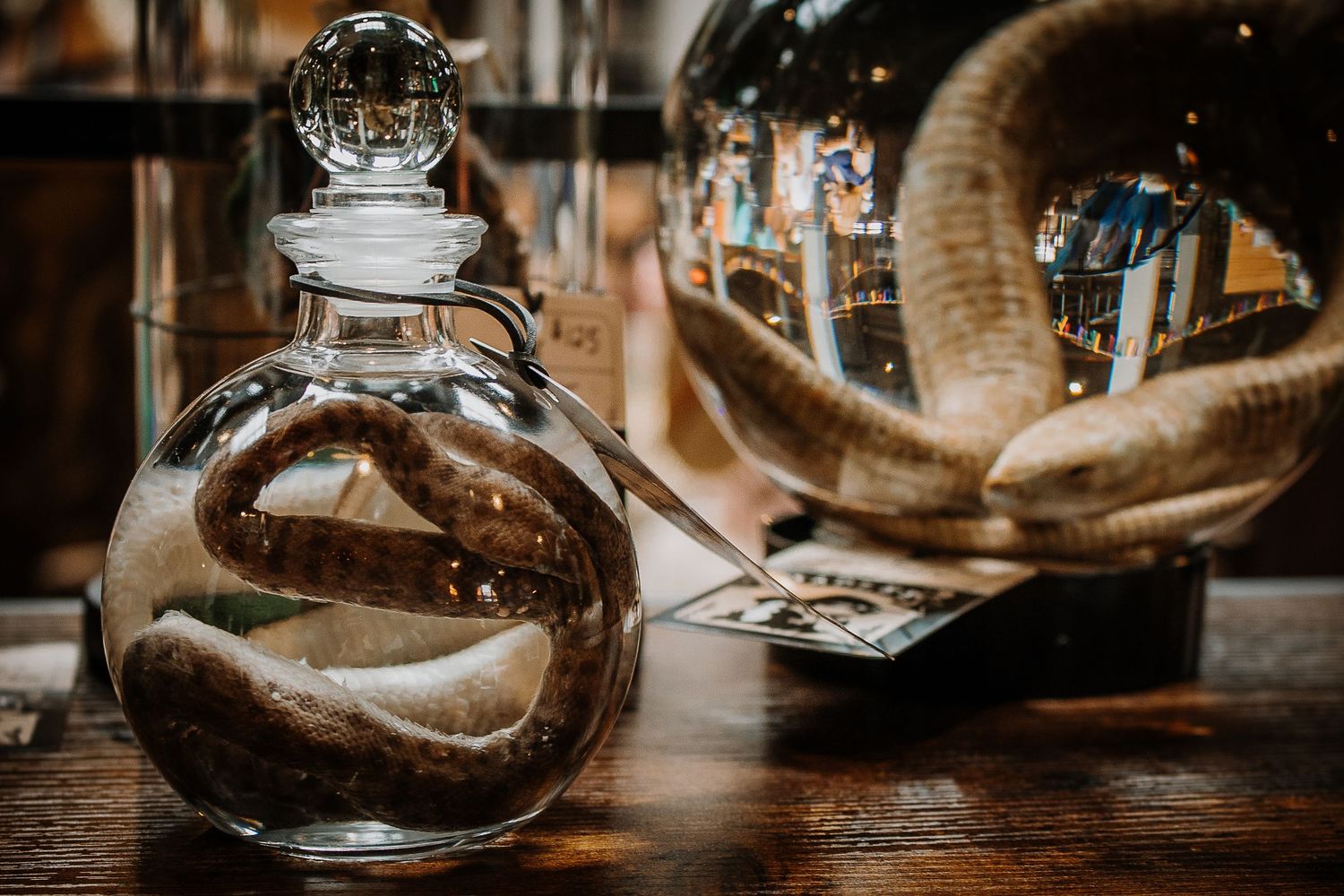 Glass decanter with a coiled snake inside displayed on a wooden table at a fantasy market.