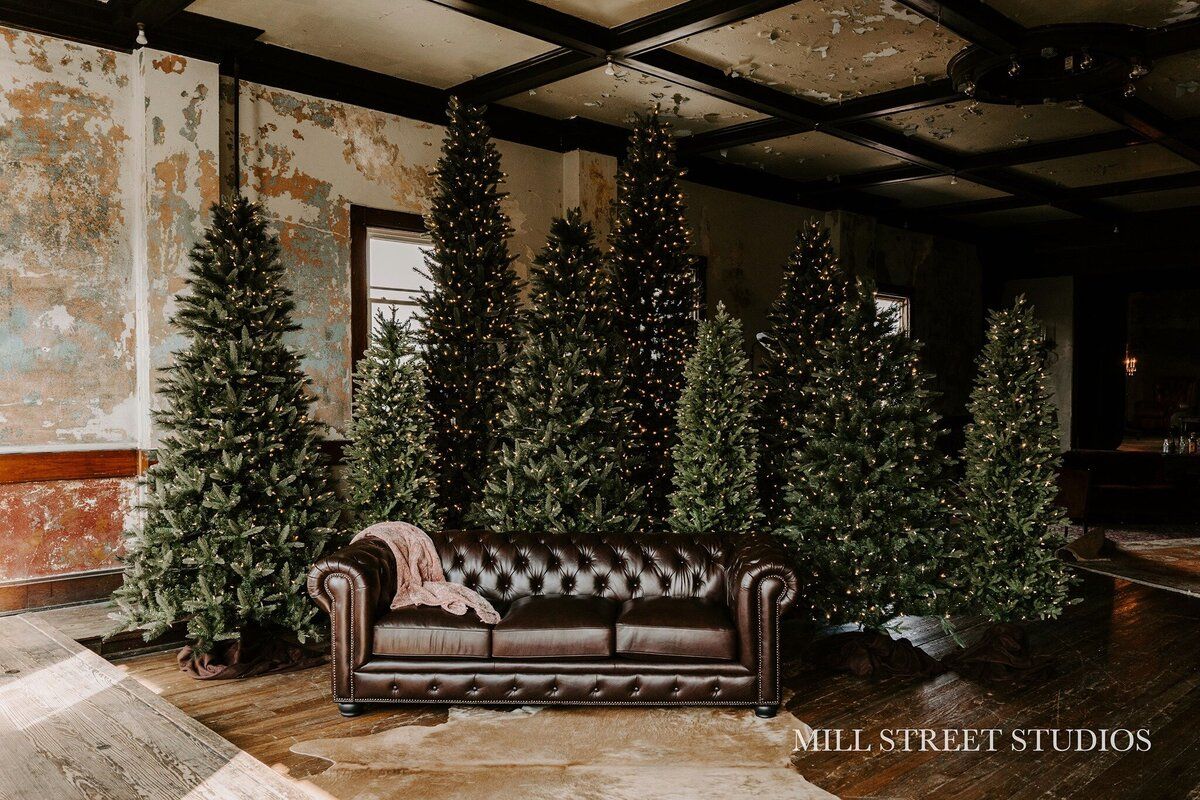 Elegant Chesterfield sofa surrounded by tall decorated Christmas trees with lights in a rustic venue.