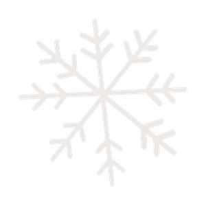 White decorative snowflake ornament with intricate branching pattern on a white background.