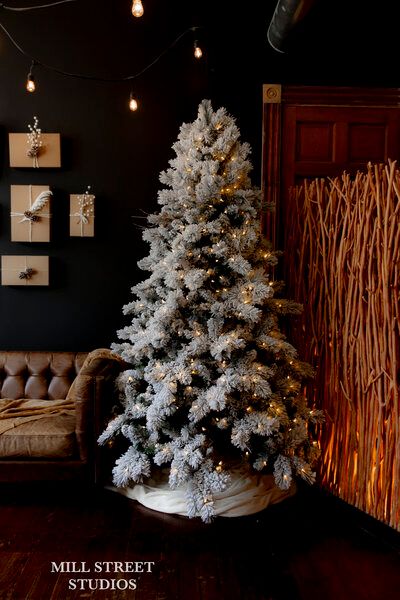 Flocked white Christmas tree with warm lights in a dark studio, beside wrapped gifts and a twig wall panel.