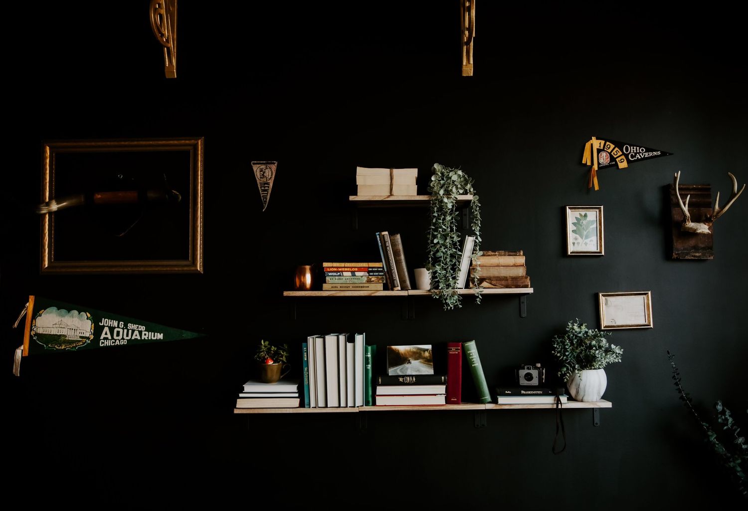 Dark wall shelving display with books, plants, antler mount, pennant flag, and framed artwork.