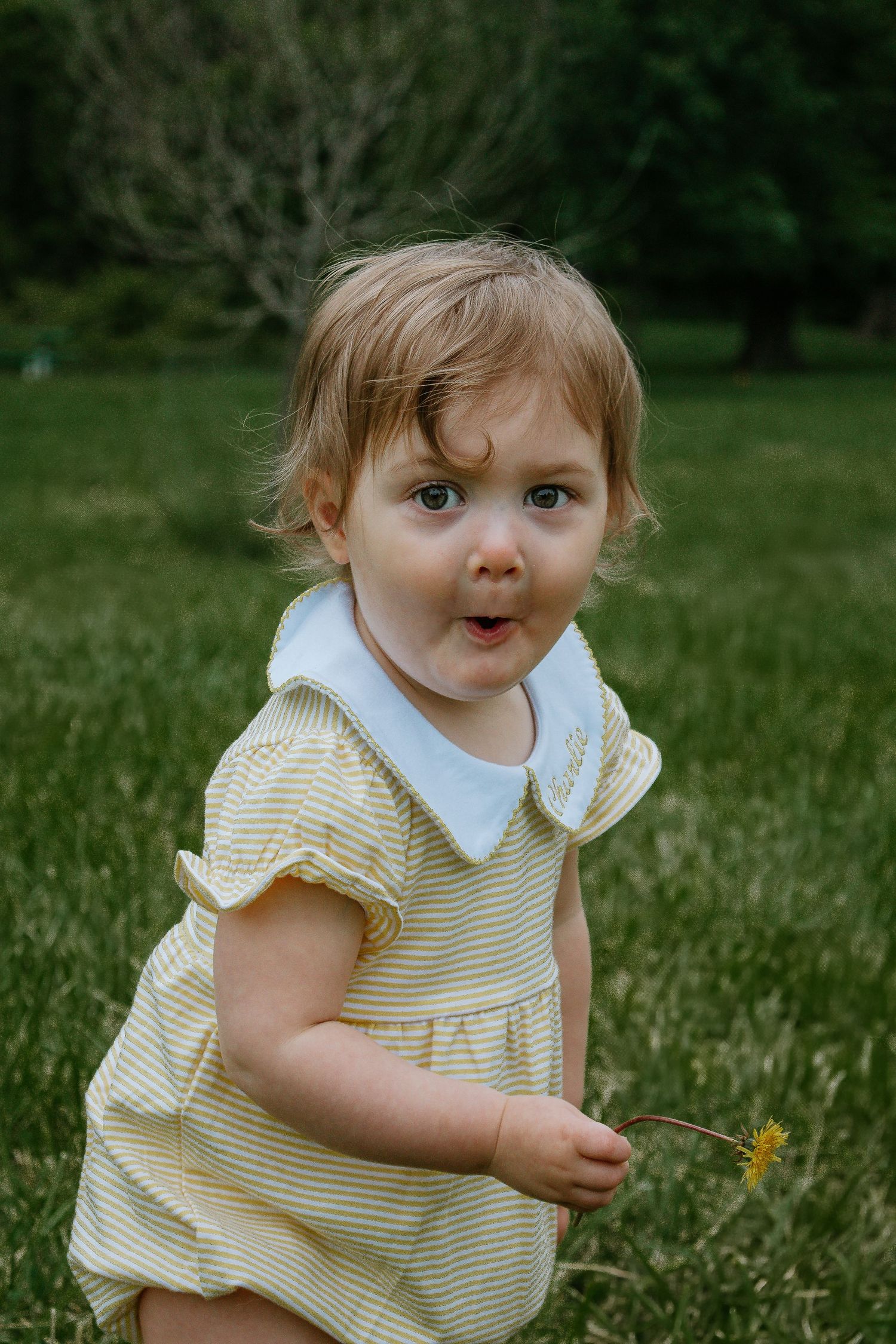 Adorable toddler girl in yellow striped dress holding a dandelion in a lush green garden.