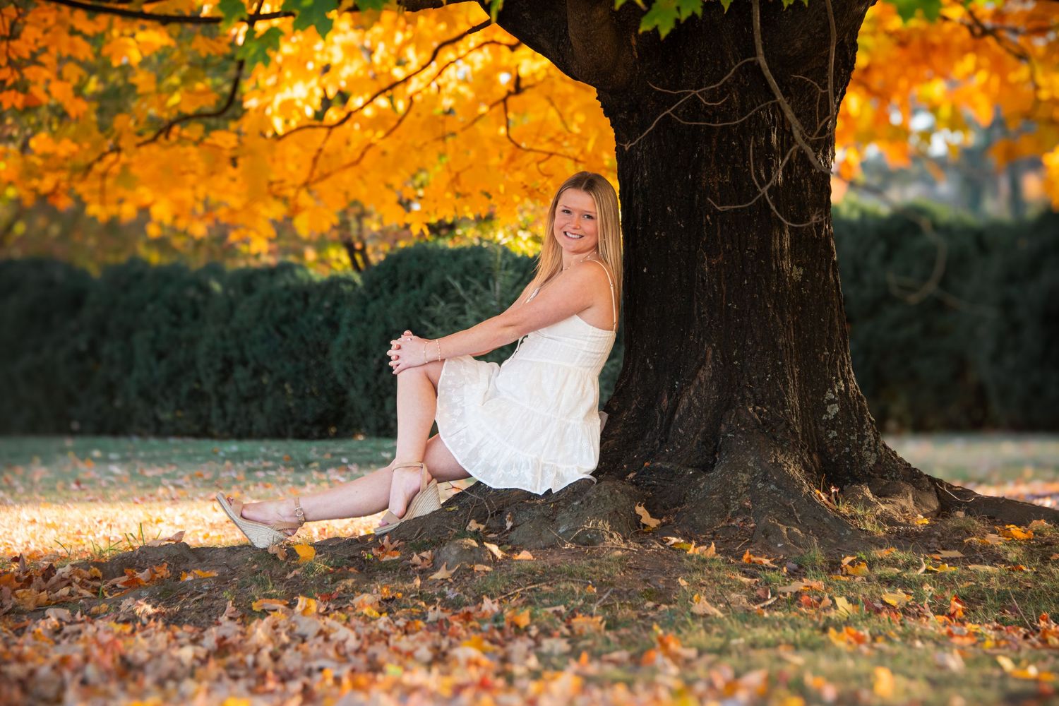 Blonde girl in white dress sitting under a large tree surrounded by vibrant autumn foliage.