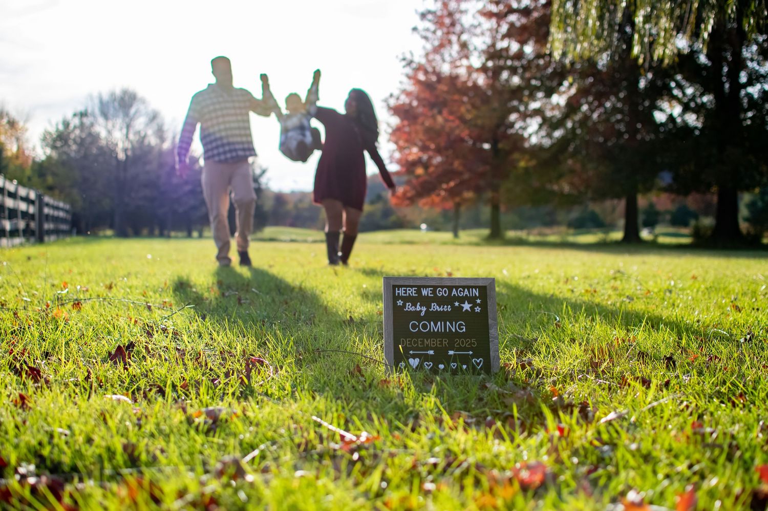 Family walking away holding hands in sunny park with baby announcement sign in foreground.