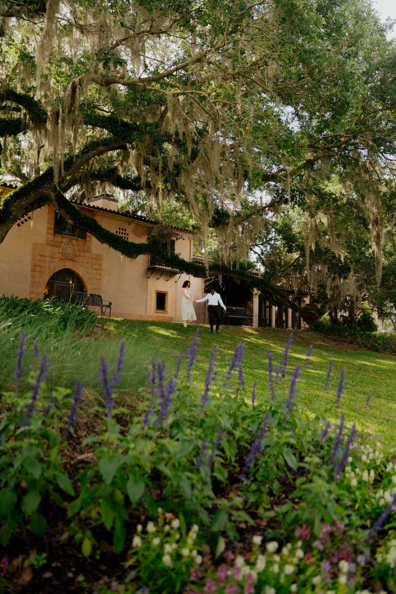 Couple holding hands while walking through lush gardens near a historic Spanish-style building with moss-draped oaks.