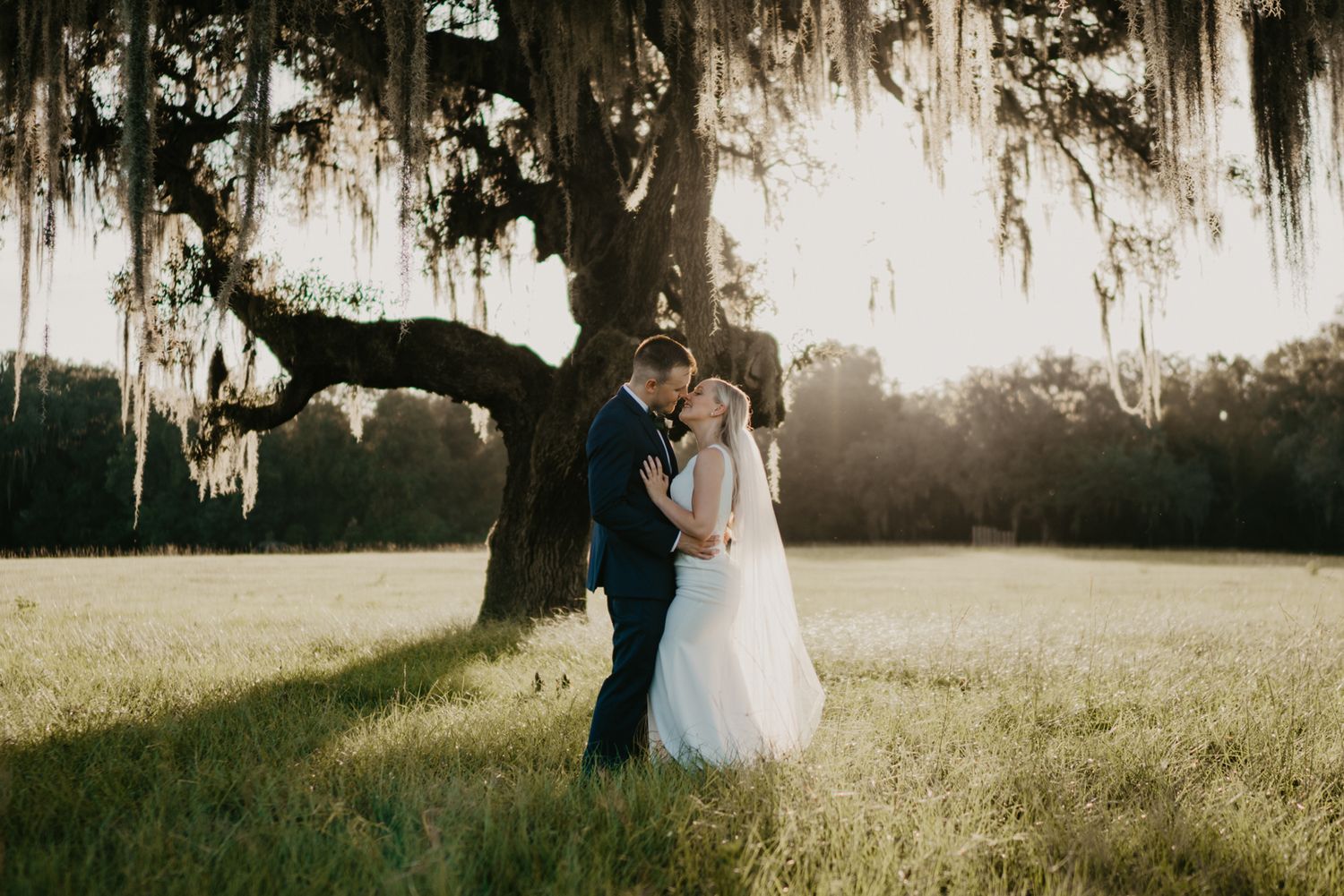 Bride and groom share a romantic kiss under a moss-draped oak tree at golden hour in a lush green field in orlando florida