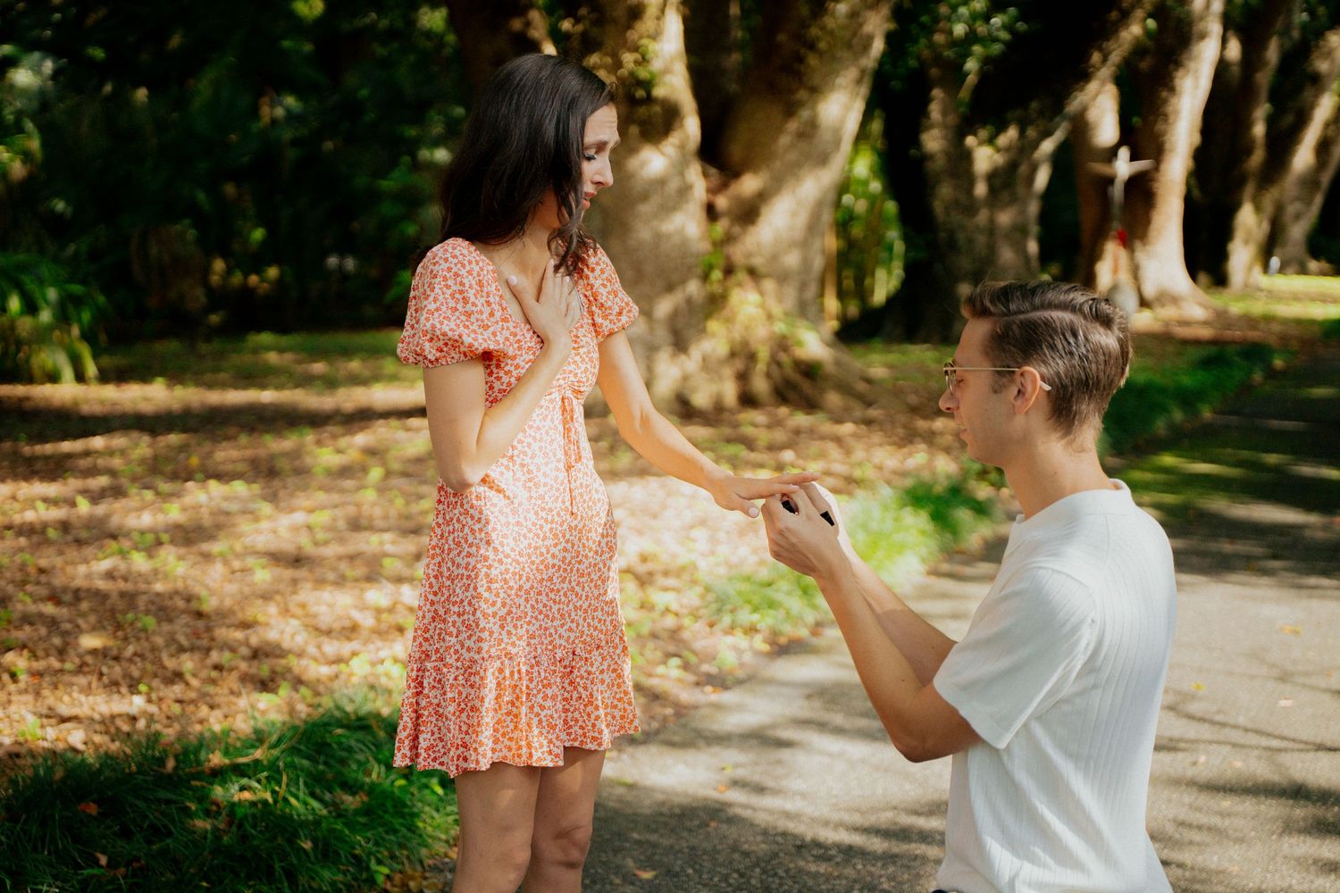 A romantic proposal scene unfolds on a tree-lined path as someone kneels with a ring in their hand.