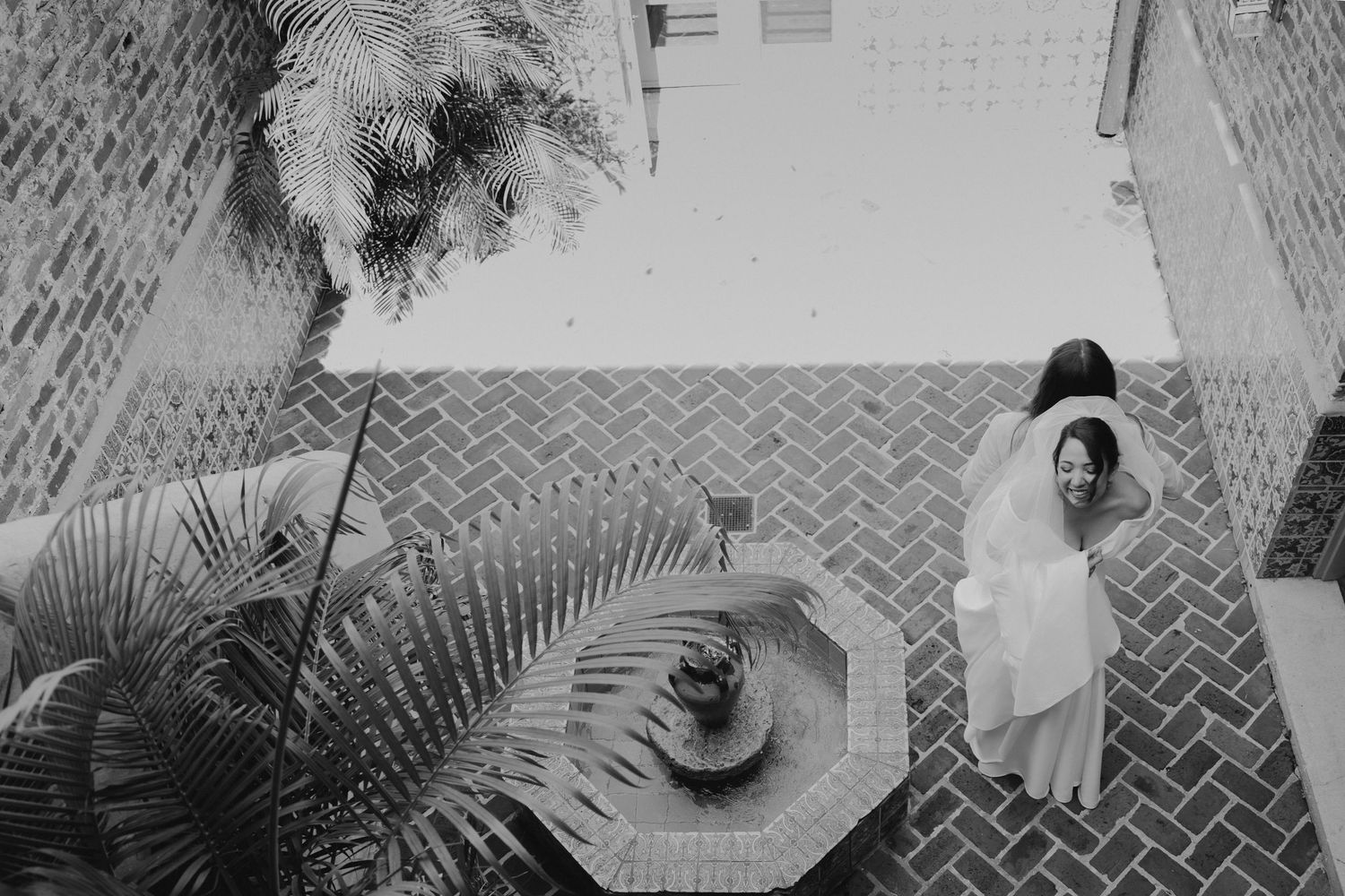 First look . Black and white photo of palm fronds creating dramatic shadows on a textured surface.