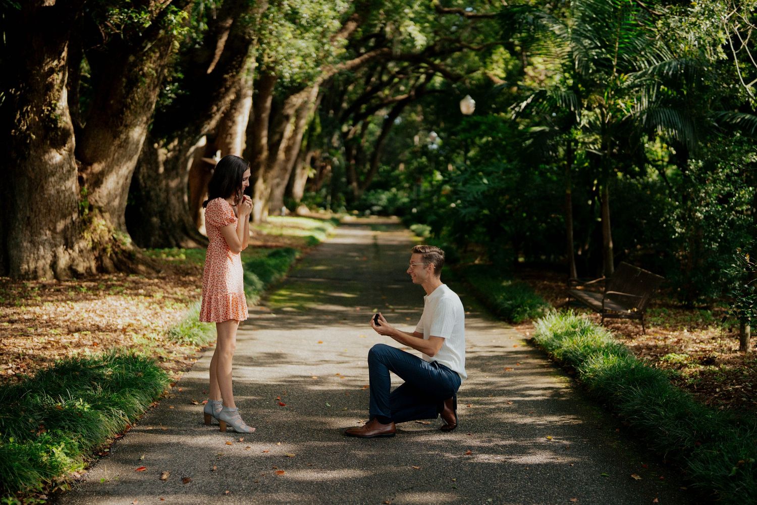 A couple walks hand in hand down a tree-lined path in a lush green park on a sunny day.
